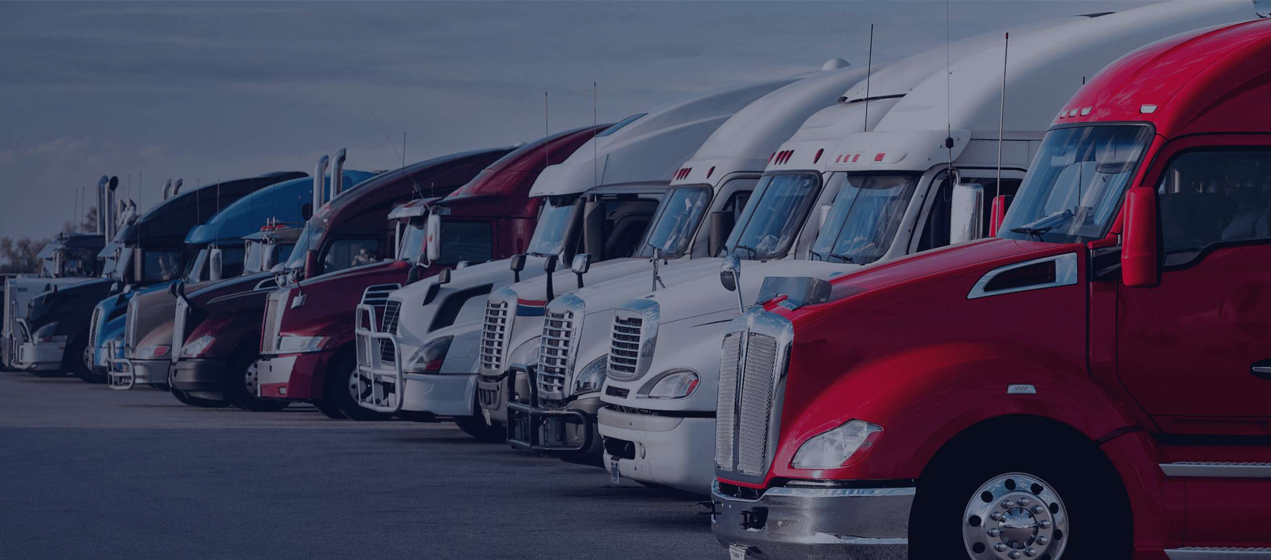 Diesel trucks lined up side by side, representing fleet and fuel management in the trucking industry.